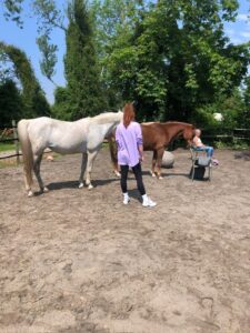 Mandy Nederlof Workshop “Voelen met Paarden”