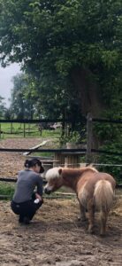 Mandy Nederlof Workshop “Voelen met Paarden”